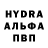 ГАШ гарик Syeda Yamna