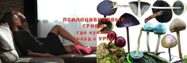 стаф Майский