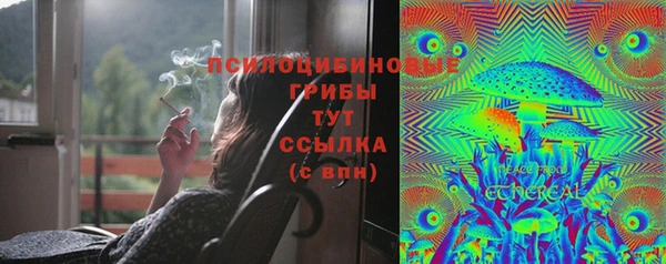ПСИЛОЦИБИНОВЫЕ ГРИБЫ Магас