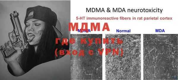 стаф Майский