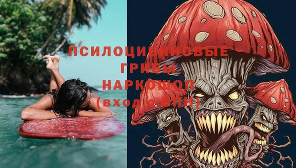 стаф Майский
