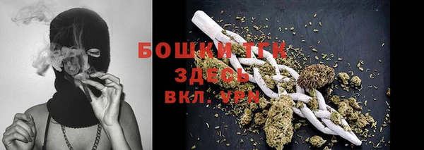 стаф Майский