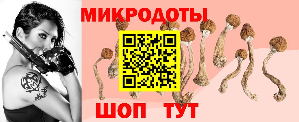 Куйбышев  Галлюциногенные грибы MAGIC MUSHROOMS  Вход с VPN 
